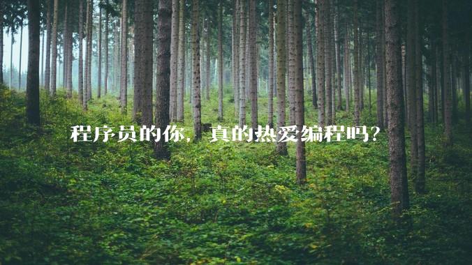 程序员的你，真的热爱编程吗？
