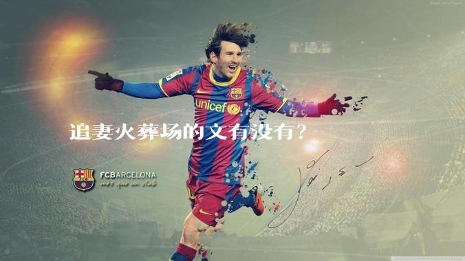 追妻火葬场的文有没有？