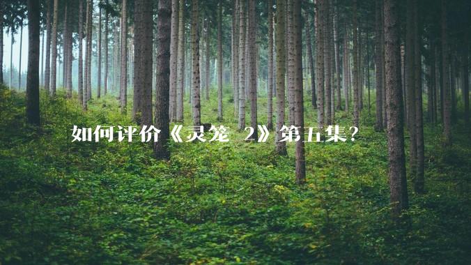 如何评价《灵笼 2》第五集？