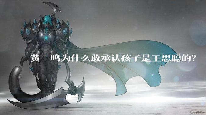 黄一鸣为什么敢承认孩子是王思聪的？